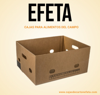 cajas de carton leon gto